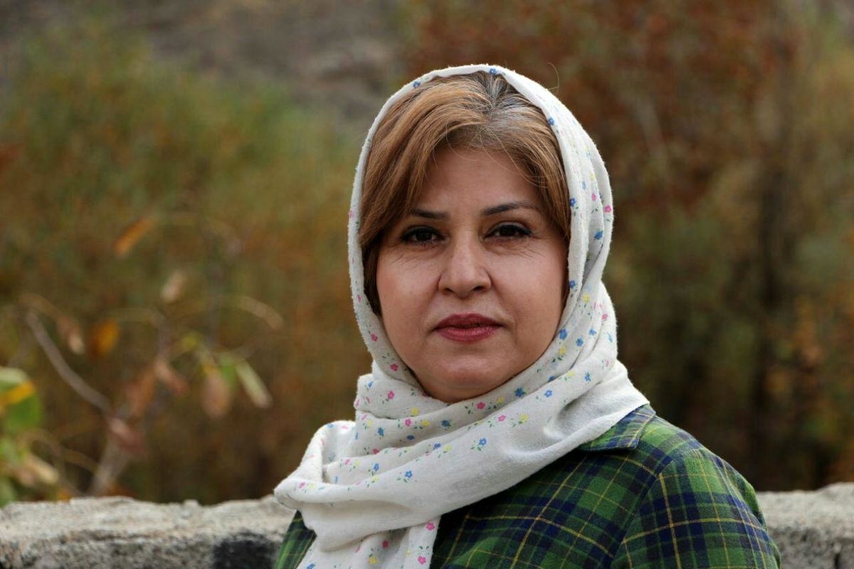 یک بازنویسی خلاقانه از پینوکیو