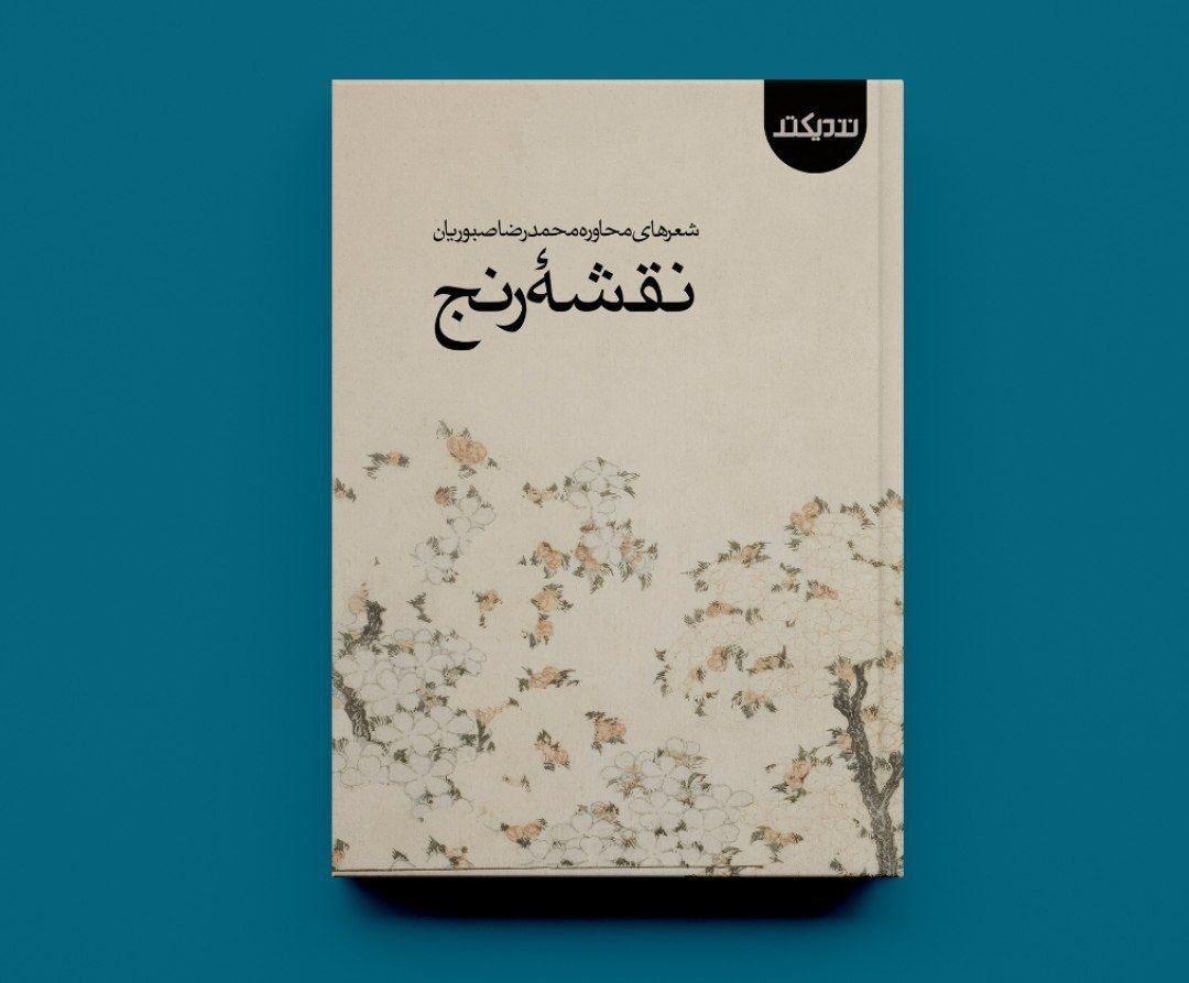 شعر محاوره دارای شاعرانگی‌های بیشتری است