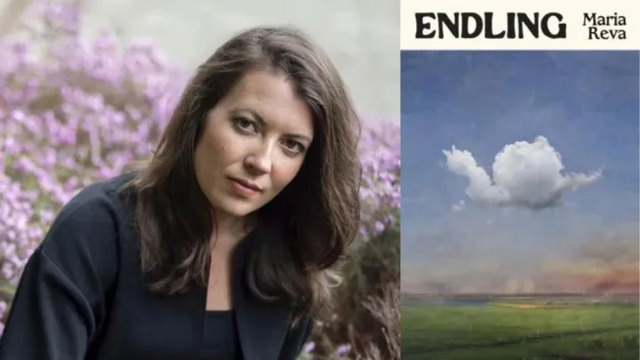 رمانی که تلخی جنگ اوکراین را با طنز سیاه روایت می‌کند