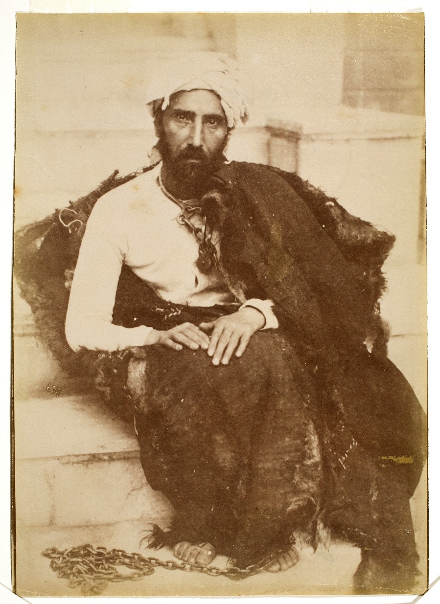 این چوبه دار را به یادگار نگه دارید