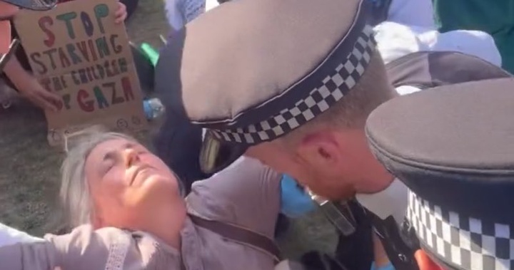 بازداشت شاعر برجسته انگلیسی آلیس آزوالد در اعتراض به قانون سرکوب حمایت از فلسطین