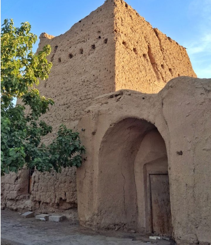 کتاب «گرتا تونبرگ» الهامبخش دختران ابویسان برای احیای کوچکترین ارگ خشتی جهان