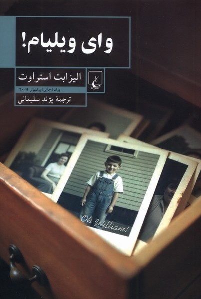 برای حفظ نثر مینیمال الیزابت استراوت در زبان فارسی تلاش کردم