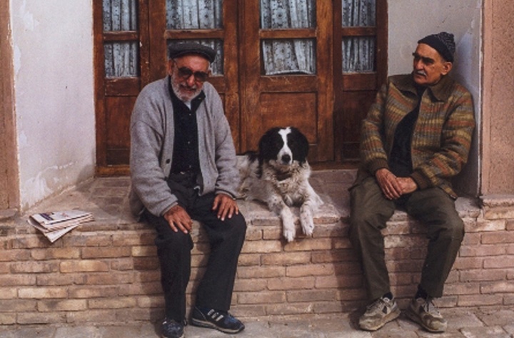 از کشاورزی تا چاپ دائره‌المعارف