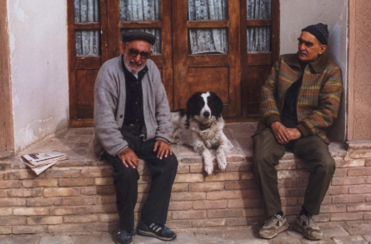 از کشاورزی تا چاپ دائره‌المعارف