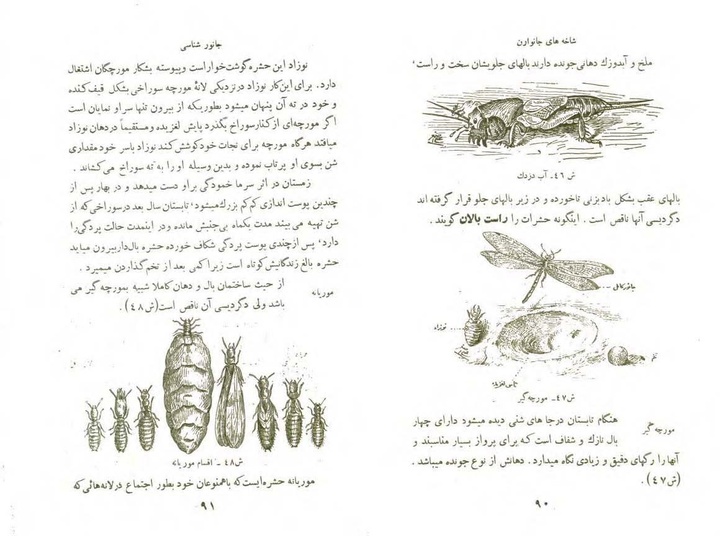 کتاب جانورشناسی سال دوم دبیرستان سال 1319 شمسی
