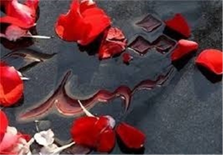 هشت شهید البرز در کتاب‌ها زنده می‌شوند؛ از «جهان‌آرای موصل» تا «قهرمان شنای کشور»