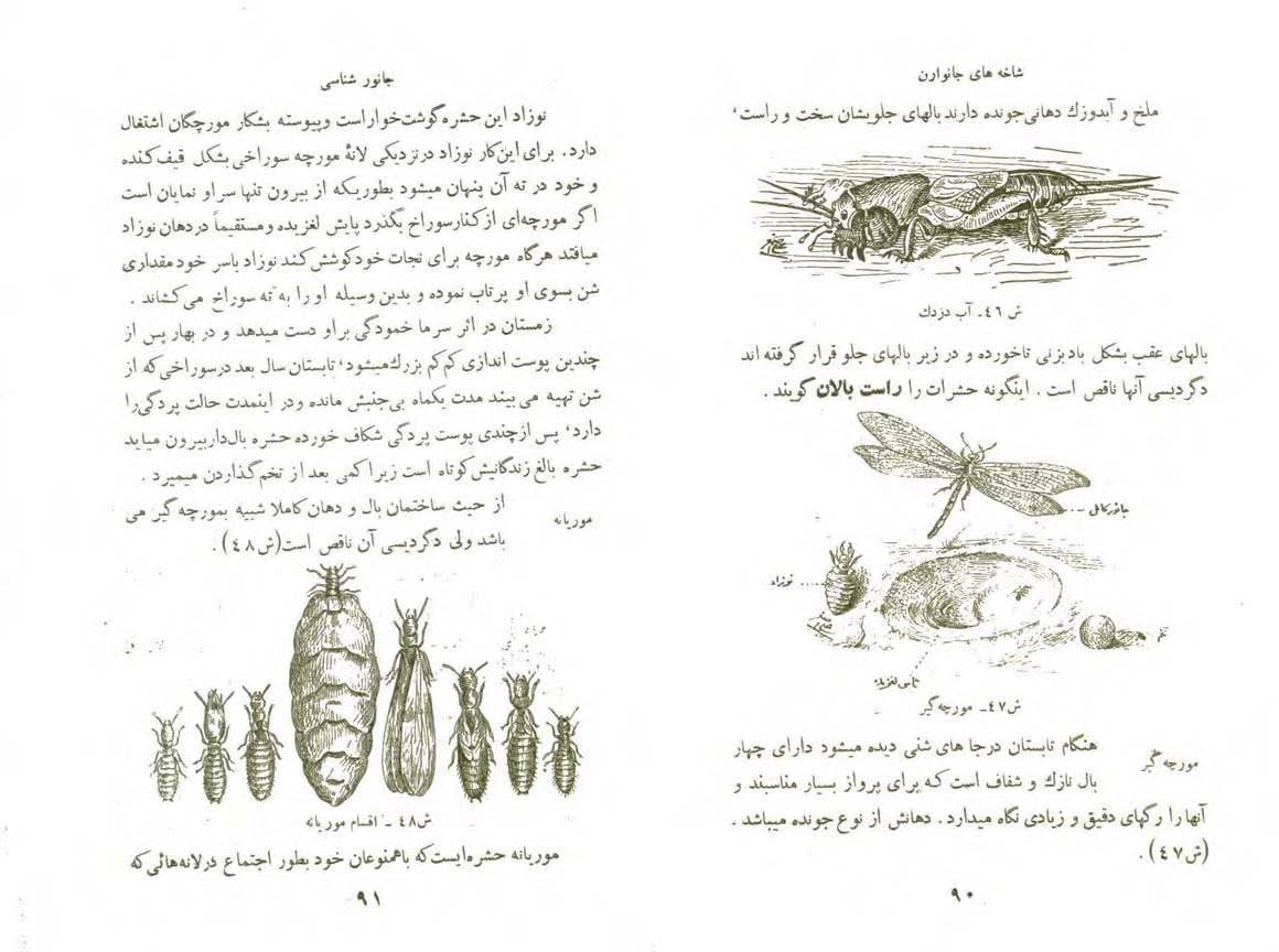 کتاب جانورشناسی سال دوم دبیرستان سال 1319 شمسی