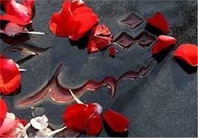 هشت شهید البرز در کتاب‌ها زنده می‌شوند؛ از «جهان‌آرای موصل» تا «قهرمان شنای کشور»