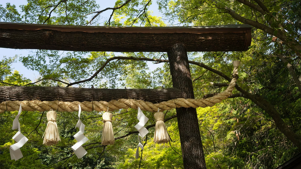 سفری معنوی در کیوتو با لورن گروف