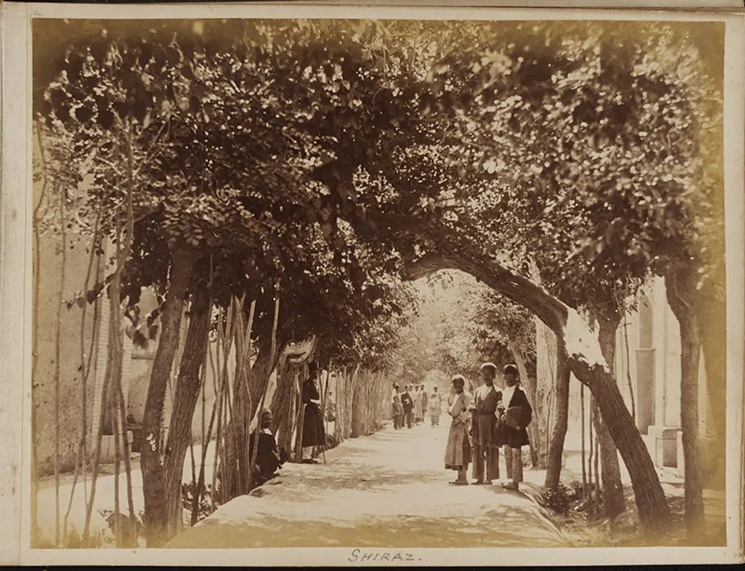 خیابانی پردرخت در شیراز حدود ۱۸۹۵-۱۹۰۰