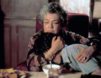 طنز، تراژدی و سینما در آثار رومن گاری