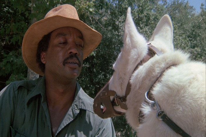 طنز، تراژدی و سینما در آثار رومن گاری