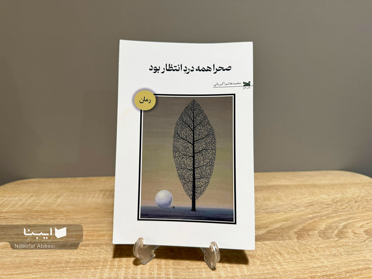 صحرا همه درد انتظار بود