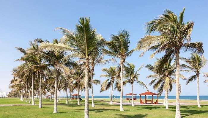 عمان کجاست؟ راهنمای کامل سفر به کشور عمان