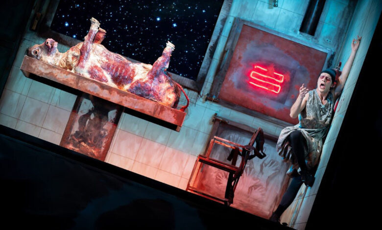 کار مهم من، پیشنهادمند کردن زیست زیبایی‌شناختی ایرانی به غرب است