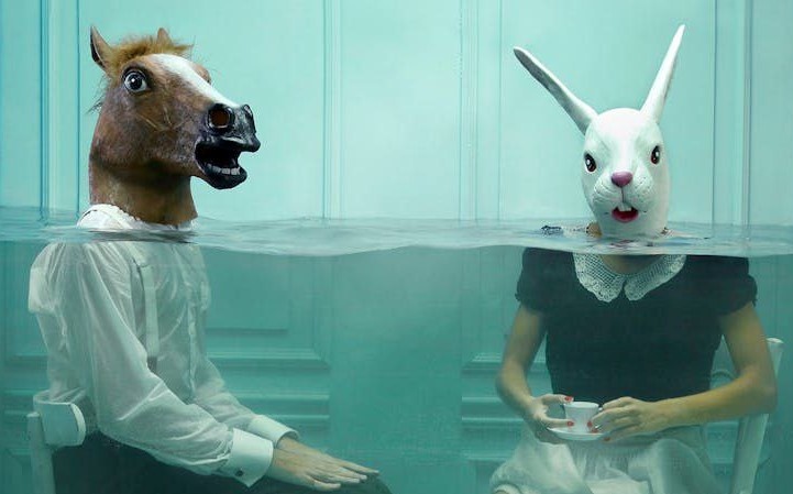 در غلافی از پوست حیوانات