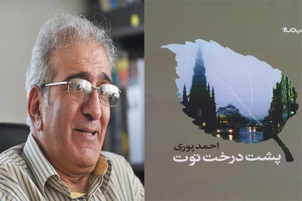 مروری بر کتاب «پشت درخت توت» با حضور احمد پوری
