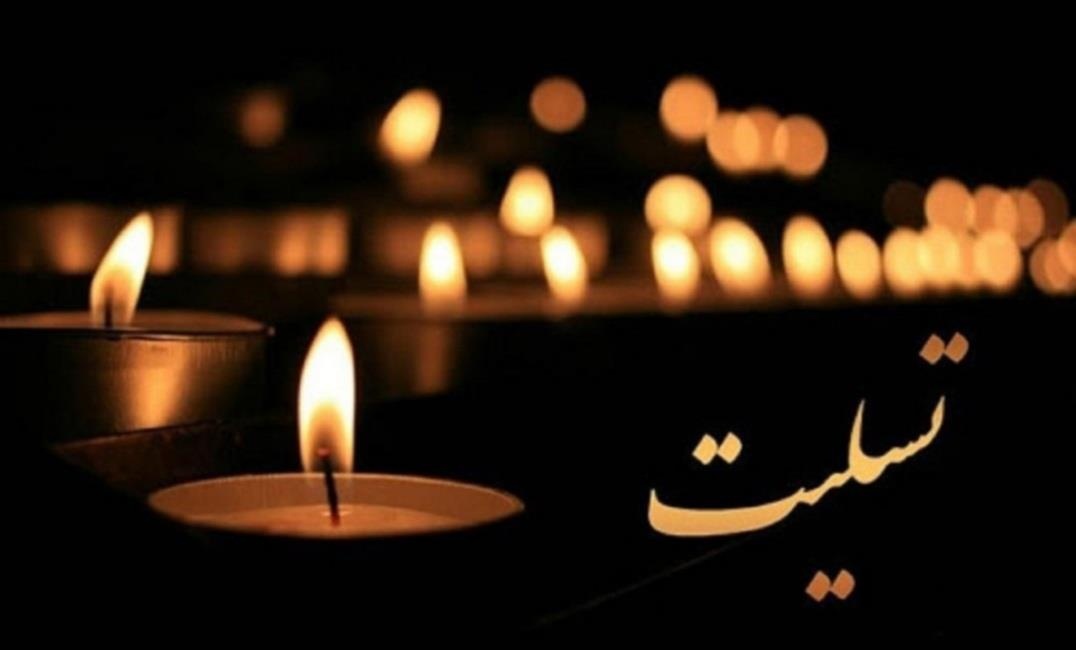 وزیر فرهنگ، درگذشت والده‌ رئیس فرهنگستان زبان و ادب فارسی را تسلیت گفت