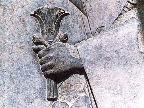 نیلوفر؛ نماد جاودانگی، نشان ایران‌شناسی