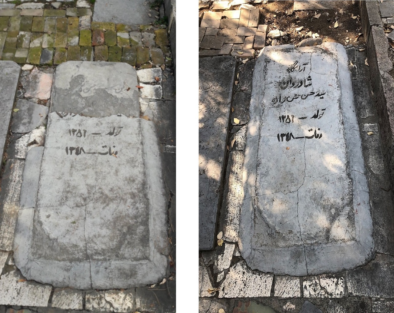 فرصتطلبیِ سیاسی به تقیزاده نمیچسبد