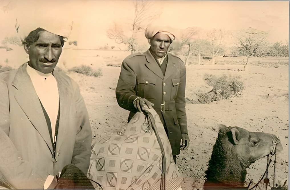 فراموش‌شدگان