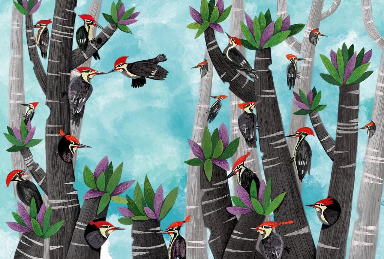 «۱۸ + ۲ دارکوب»