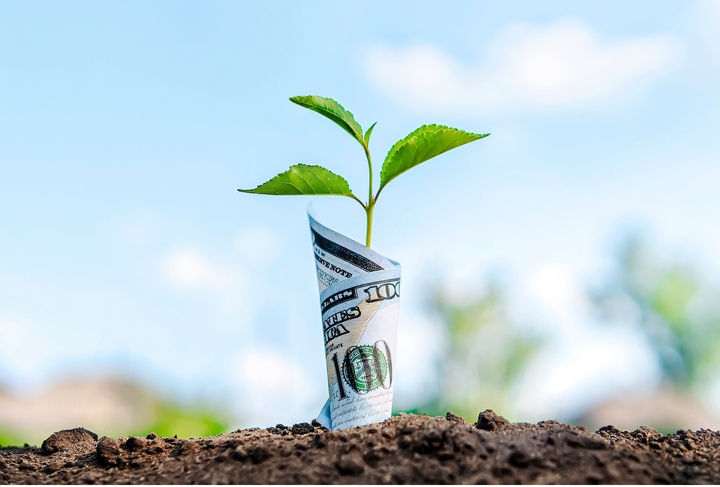 سرمایه‌داری علیه محیط‌زیست