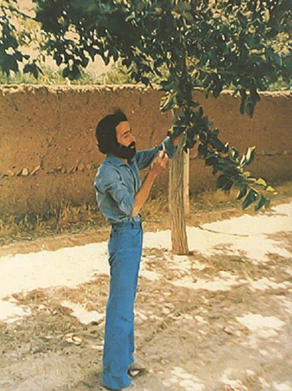 مادری دارم بهتر از برگ درخت