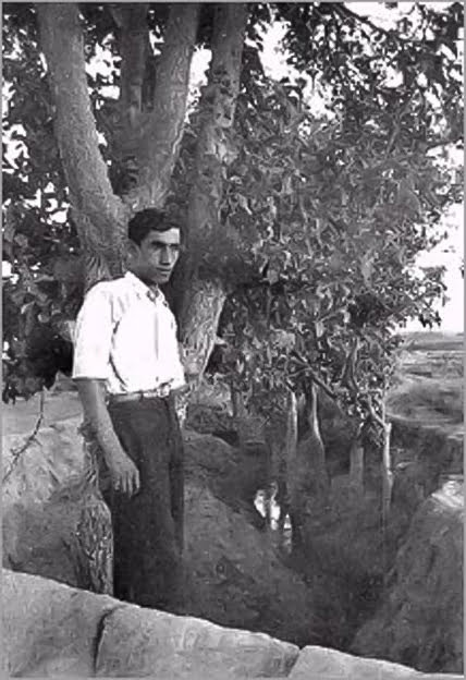 مادری دارم بهتر از برگ درخت