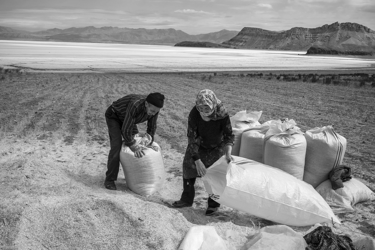 ایران جامعه کشاورزی