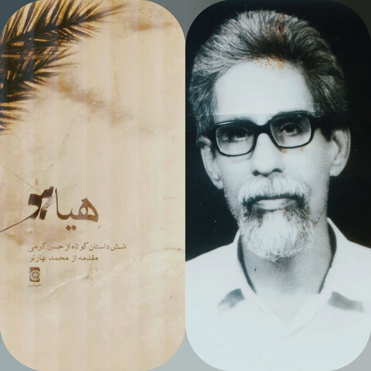 نگاهی به نیم قرن داستانسرایی در هرمزگان/ اولین نویسنده ادبیات داستانی هرمزگان کیست؟