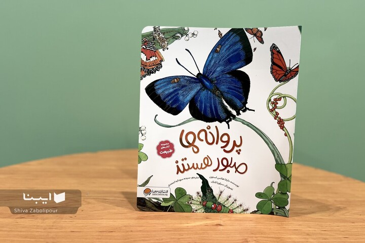 کتابی برای شناخت پروانه‌ها با تصاویر زیبا و خلاقانه