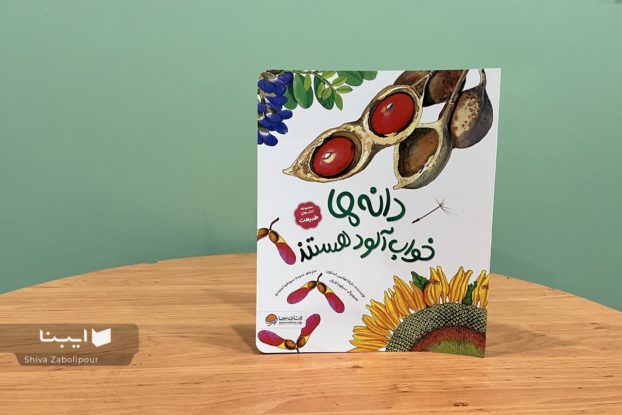 دانه‌ها خواب‌آلود هستند