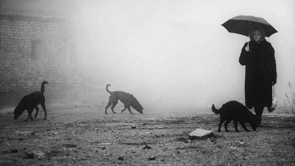 جهان فلسفی و پیچیده لاسلو کراسناهورکایی در سینمای بلا تار