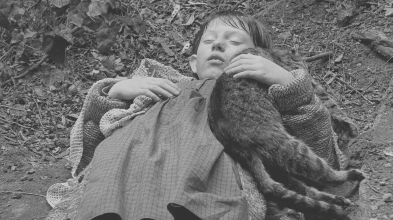 جهان فلسفی و پیچیده لاسلو کراسناهورکایی در سینمای بلا تار