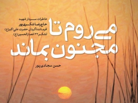 کتاب «می‌روم تا مجنون بماند» رونمایی می‌شود