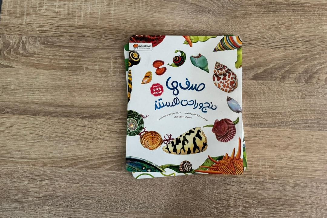 صدف‌ها دنج و راحت هستند