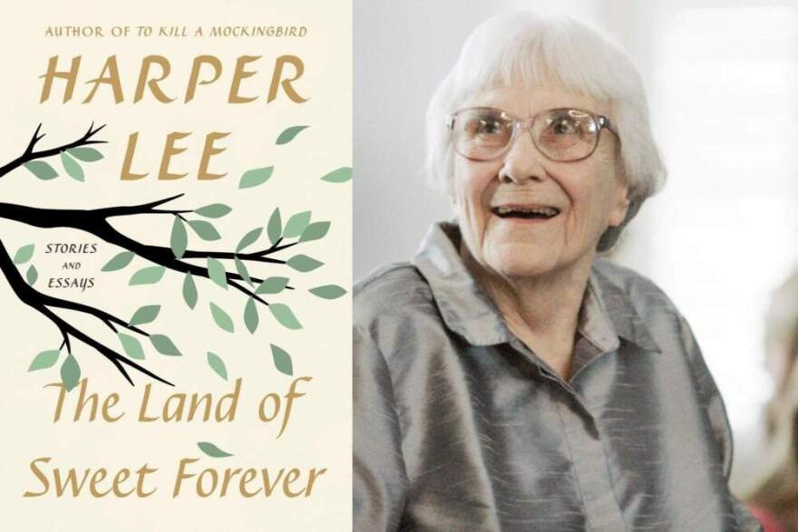 آیا اثر تازه منتشر شده هارپرلی ارزش خواندن دارد؟