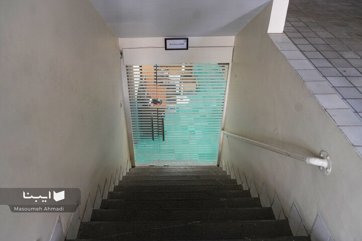 «نیم‌قرن حکمت، نیم‌قرن فلسفه»