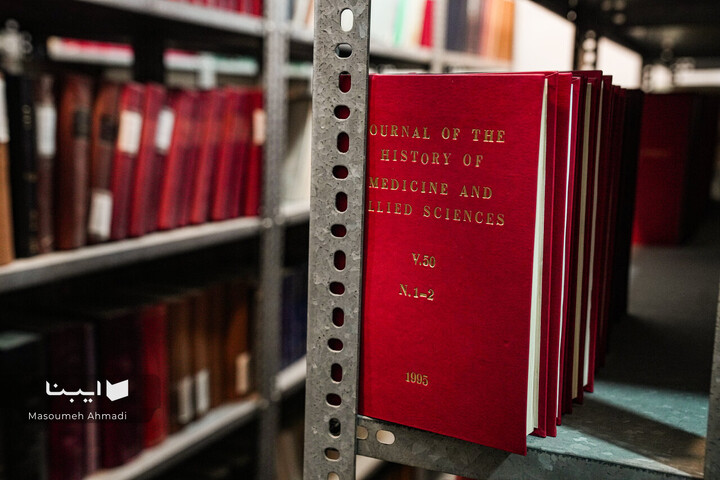 «نیم‌قرن حکمت، نیم‌قرن فلسفه»