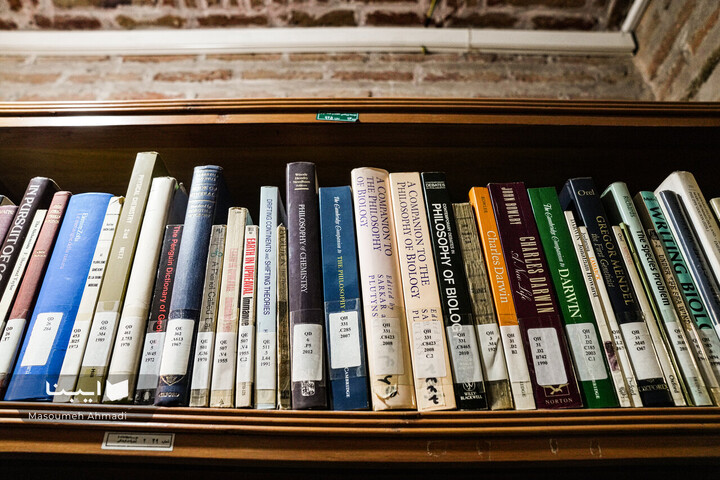 «نیم‌قرن حکمت، نیم‌قرن فلسفه»