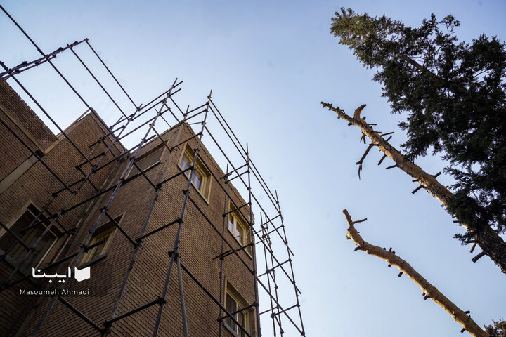 «نیم‌قرن حکمت، نیم‌قرن فلسفه»