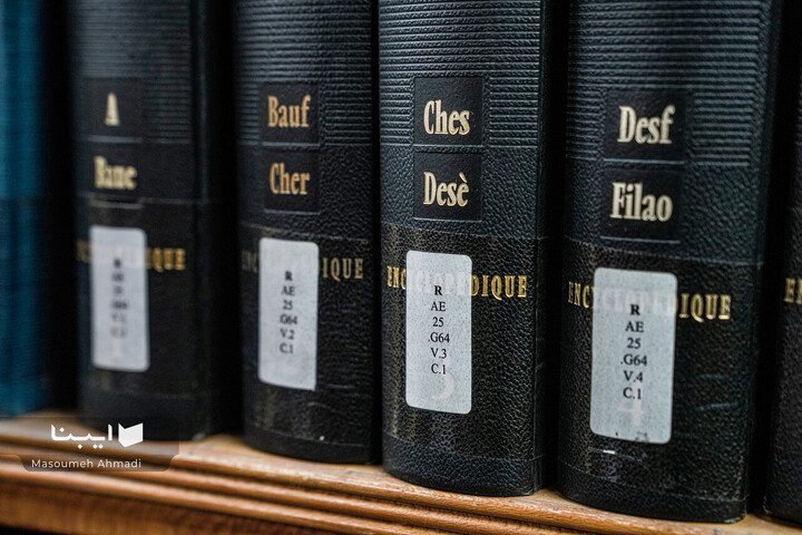 «نیم‌قرن حکمت، نیم‌قرن فلسفه»