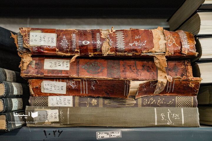 «نیم‌قرن حکمت، نیم‌قرن فلسفه»