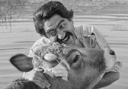 مهرجویی، از سینما تا فلسفه به روایت بهمن مقصودلو