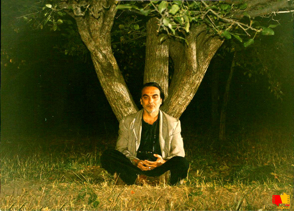 همایون ارشادی، بازیگری که روشنفکر بودن را دوست نداشت