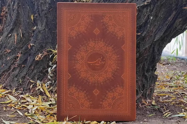 کتاب «خاری بلبل» در تبریز منتشر شد