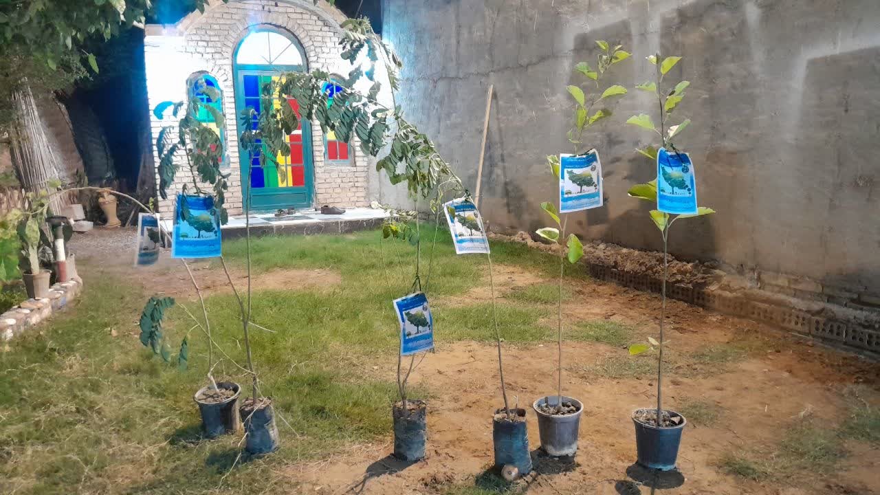 سفر خیالانگیز کودکان علوی در سرزمین کتابها/ تخیل کتابی با بادکنکها