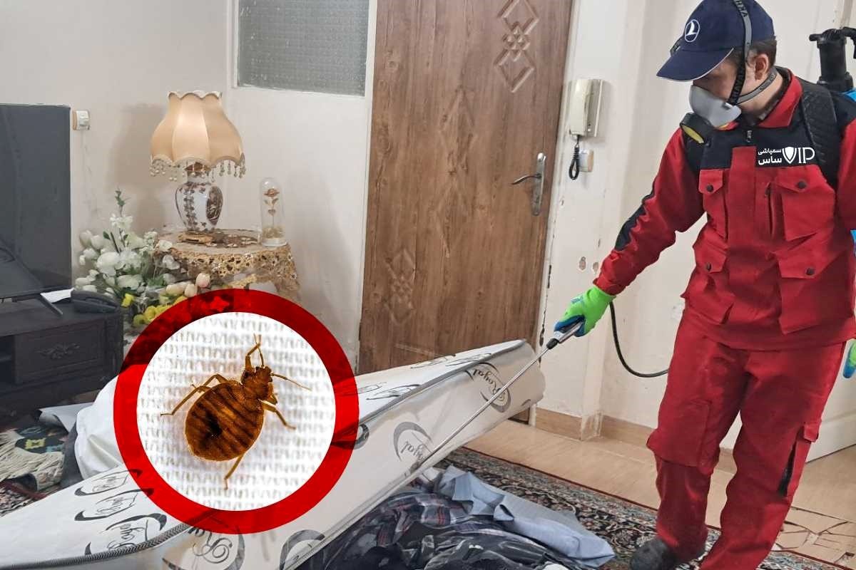 شرکت سمپاشی ساس VIP با ارائه ضمانت و استفاده از قویترین سم ساس خارجی